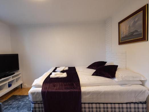 Aurora Dream House Apartment With Free Parking Тромсьо Екстериор снимка
