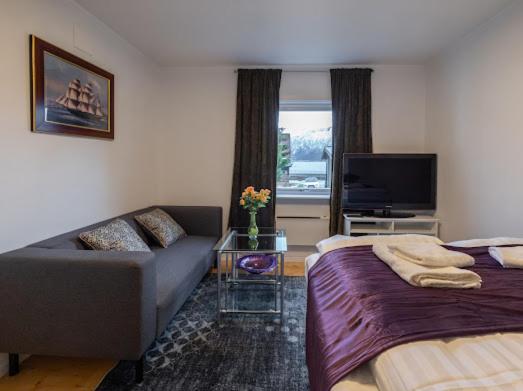 Aurora Dream House Apartment With Free Parking Тромсьо Екстериор снимка